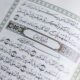 Surah Yaseen Read Online