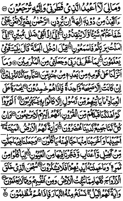 Surah Yasin Read Online