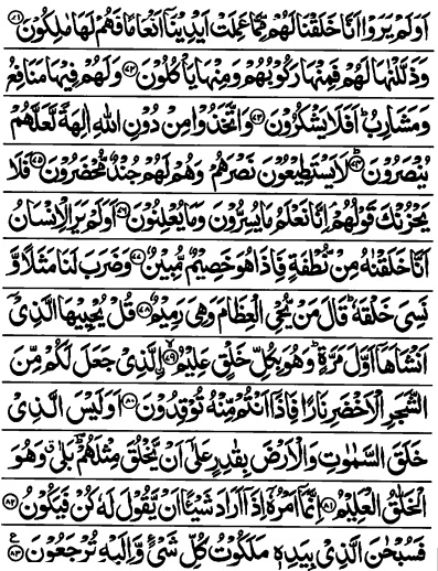 Surah Yasin Quran 
