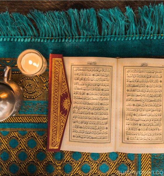 Hisar (حصار)