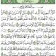 Surah Al-Alaq